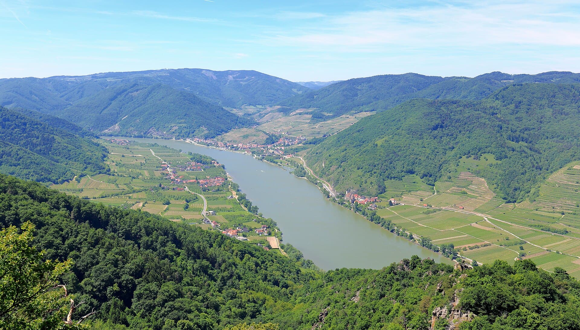 Blick über Weinberge und Donautal der Wachau in Niederösterreich